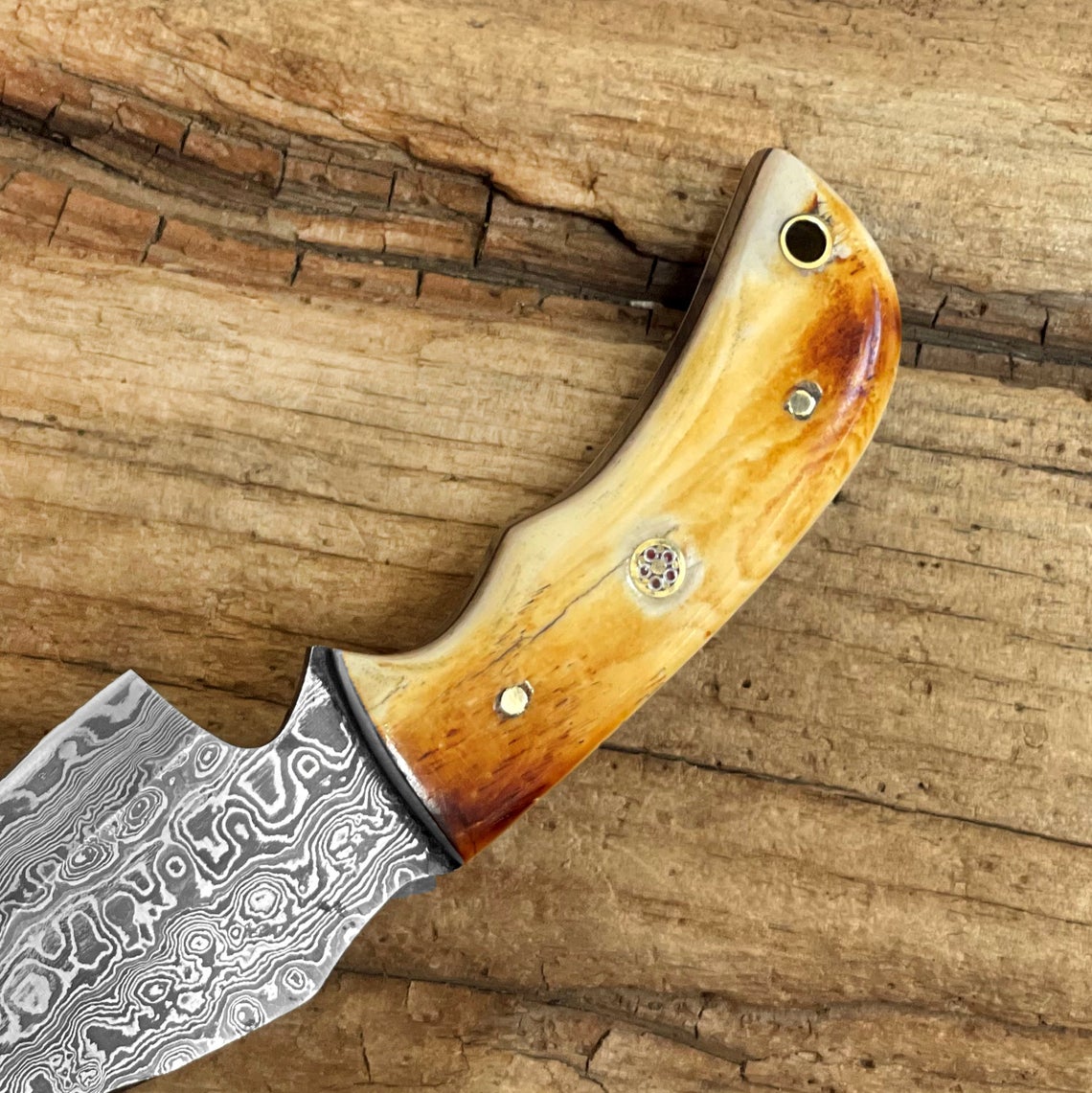 HS-724 Custom Handmade Damascus Steel Skinner Knife - Burnt Camel Bone Handle