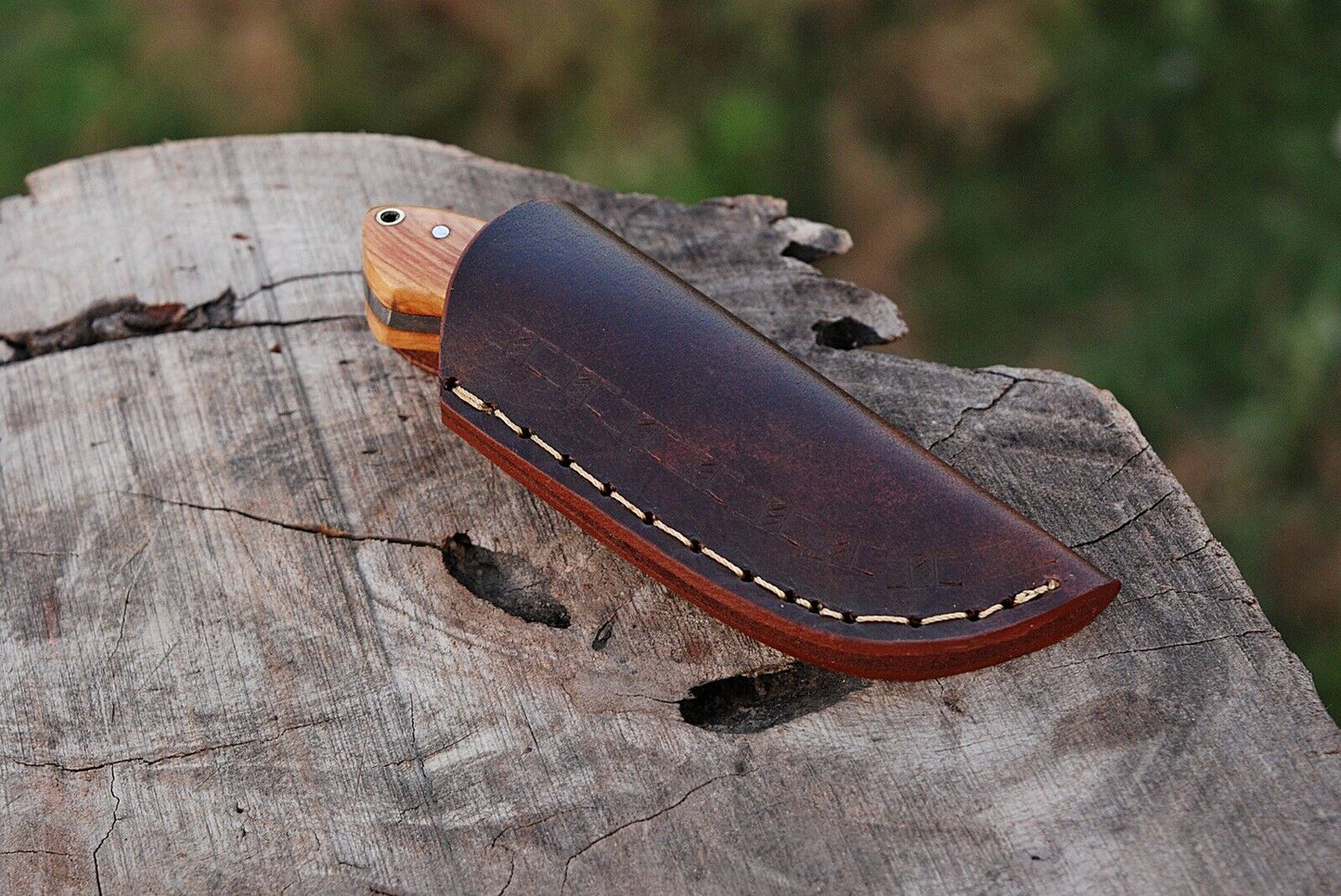 HS-734 Custom Handmade High Carbon Steel Mini Skinner knife - Aweosme Wood Handle