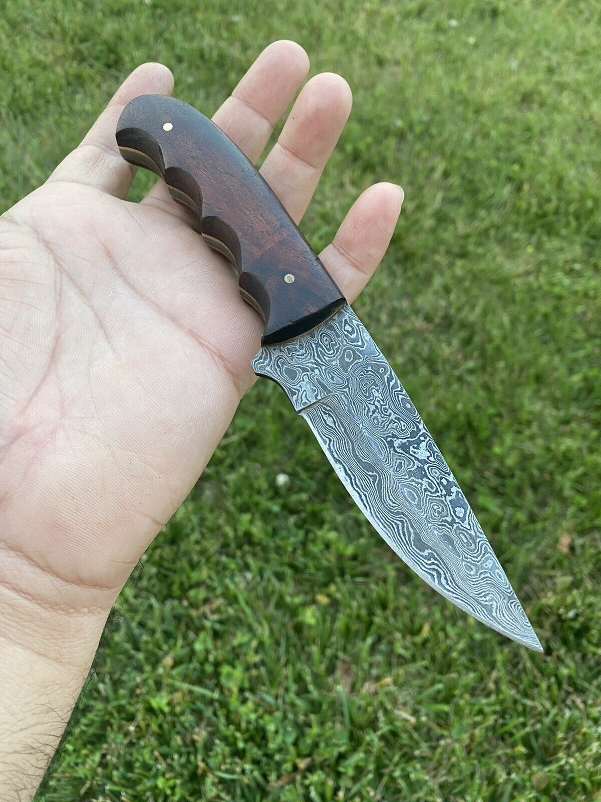 HS-731 Custom Handmade Damascus Steel Skinner Knife - Wood Handle
