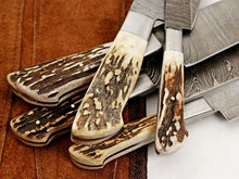 Load image into Gallery viewer, HS-245 Custom Handmade Damascus Kitchen-Chef Knives Set Lot Of Six Pecs With Stag Horn Handle
