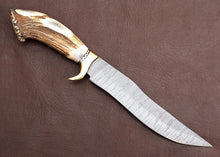 Load image into Gallery viewer, HS-302 '' Premium Handmade Damascus hunting Knife, Outdoor Camping, Stag Horn Handle, Boyfriend Gift, Anniversary Gift, Gift For Him, Christmas Gift