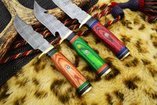 Load image into Gallery viewer, HS Deal 03 - 10 Inch Custom Handmade Damascus Skinner Knife Lot of 3 Pecs With Different Handles
