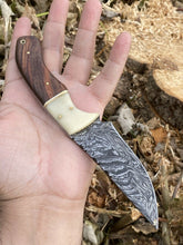 Load image into Gallery viewer, HS-572 Custom Hand Forged Damascus Steel HUNTING Knife W/ Wood Handle / Full Tang
