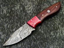 Load image into Gallery viewer, HS-580 Custom Hand Forged Damascus Steel 8" Hunting Knife -Pakka & Natural Wood