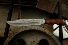Load image into Gallery viewer, HS-310 Custom Made Hand Forged Damascus Steel Walnut Wood Bowie Knife, Hunting Knife