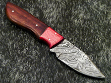 Load image into Gallery viewer, HS-580 Custom Hand Forged Damascus Steel 8" Hunting Knife -Pakka & Natural Wood