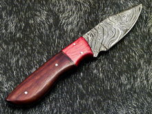 Load image into Gallery viewer, HS-580 Custom Hand Forged Damascus Steel 8" Hunting Knife -Pakka & Natural Wood