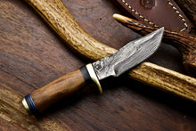 Load image into Gallery viewer, HS-716 Custom Handmade Awesome Walunt Wood Handle Damascus Steel Skinner Knife With Best Price