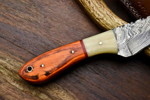 Load image into Gallery viewer, HS-684 Custom Handmade Damascus Steel Skinner Knife - Beautiful Bone Wood Handle