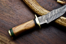 Load image into Gallery viewer, HS-710 Custom Handmade Damascus Steel Skinner Knife - BeautifulWood Handle