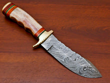 Load image into Gallery viewer, HS-491 Custom Handmade Damascus Hunting Knife With Camel Bone Handle