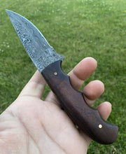 Load image into Gallery viewer, HS-731 Custom Handmade Damascus Steel Skinner Knife - Wood Handle
