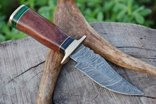 Load image into Gallery viewer, HS-790 Custom Handmade Damascus Skinner Knife With Hard Wood Handle