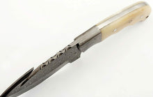 Load image into Gallery viewer, HS-821 Custom Handmade Damascus Skinner Knife With Camel Bone Handle