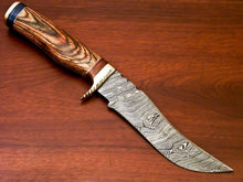 Load image into Gallery viewer, HS-522 Custom Handmade Damascus Hunting Knife With Brown Hard Wood Handle