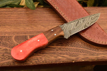 Load image into Gallery viewer, HS-830 Custom Handmade Damascus Skinner Knife With Stained Bone & Hard Wood Handle