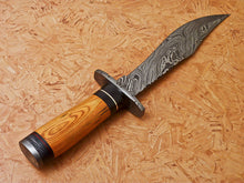 Load image into Gallery viewer, HS-347 | Custom Handmade Damascus Hunting/Bowie Knife With Colored Bone Handle