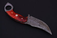 Load image into Gallery viewer, HS-537 Custom Handmade Damascus Hunting/Skinner Knife With Colored Bone Handle