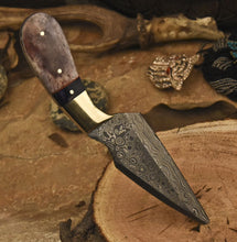 Load image into Gallery viewer, HS-840 Custom Handmade Damascus Skinner Knife With Stained Camel Bone Handle