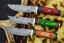 Load image into Gallery viewer, HS Deal 03 - 10 Inch Custom Handmade Damascus Skinner Knife Lot of 3 Pecs With Different Handles