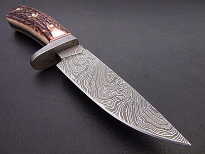 HS-535 Custom Handmade Damascus Hunting/Skinner Knife With Stag Horn Handle