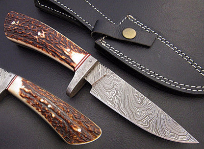 HS-535 Custom Handmade Damascus Hunting/Skinner Knife With Stag Horn Handle