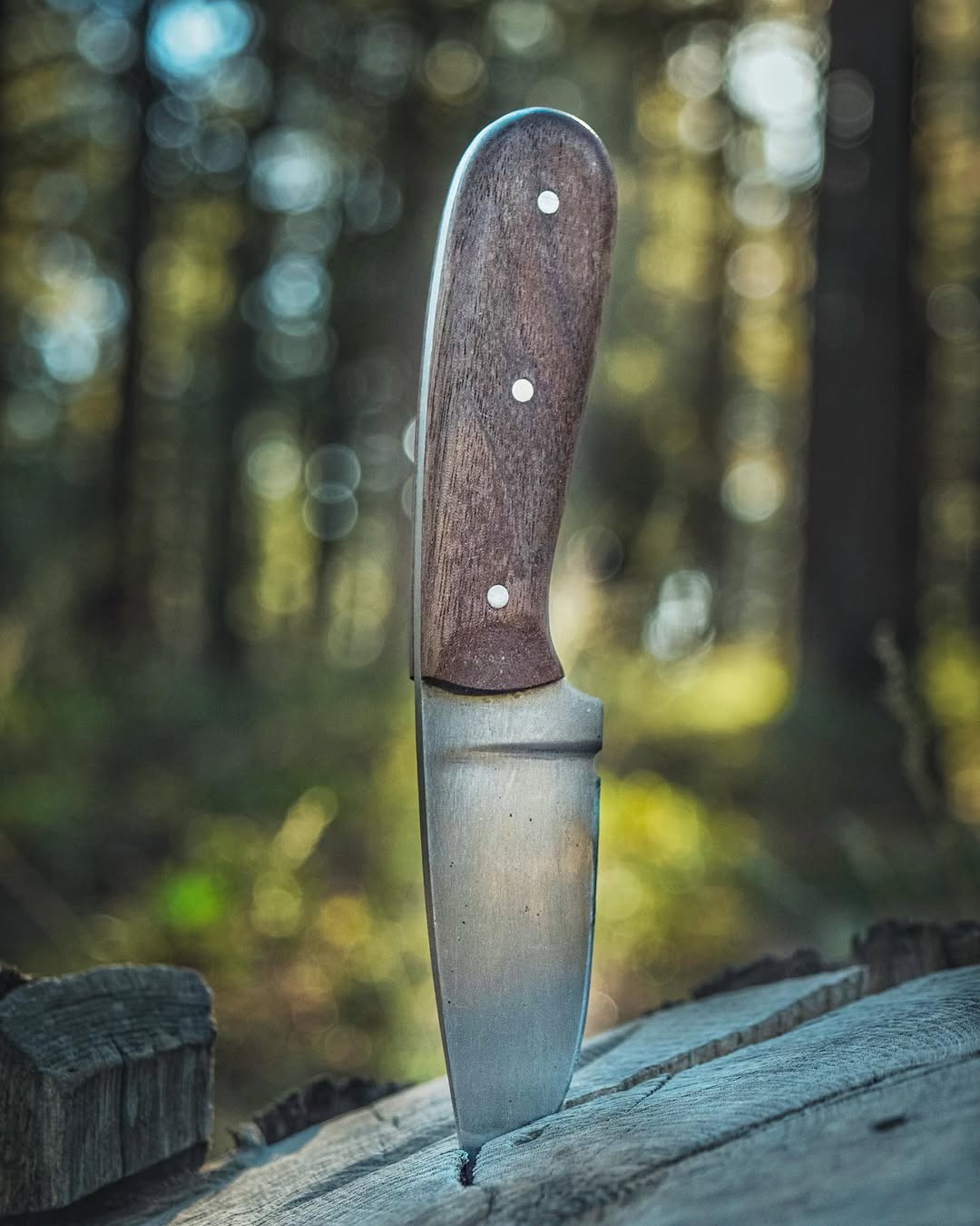 A fixed-blade knife with a dark brown wooden handle and a silver steel blade, standing vertically on a weathered log with a blurred forest background.