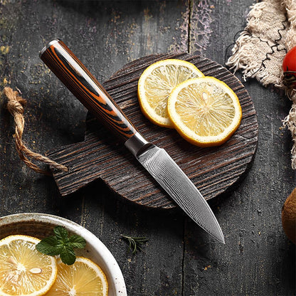HS-175 Custom Handmade Damascus Six Pecs Kitchen/Chef Knives - Hard Wood Handle