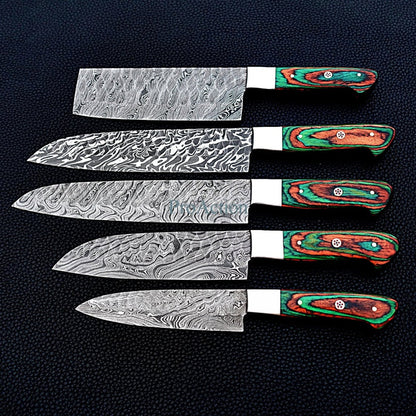 HS-170 Custom Handmade Damascus Five Pecs Kitchen/Chef Knives Set- Hard Wood Handle