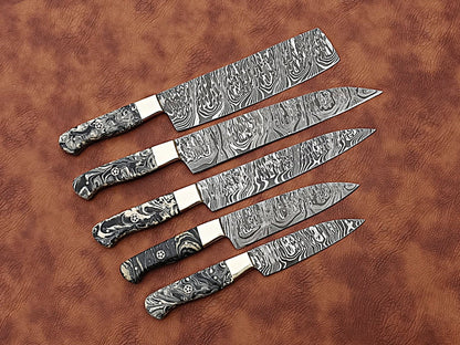 HS-173 Custom Handmade Damascus Five Pecs Kitchen/Chef Knives Set- Resin Handle