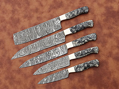 HS-173 Custom Handmade Damascus Five Pecs Kitchen/Chef Knives Set- Resin Handle