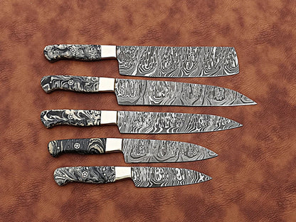 HS-173 Custom Handmade Damascus Five Pecs Kitchen/Chef Knives Set- Resin Handle