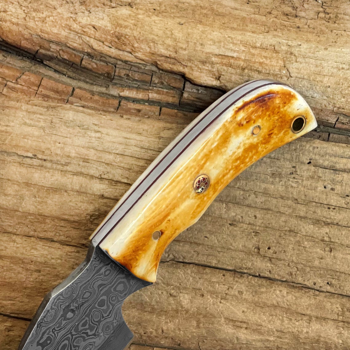 HS-724 Custom Handmade Damascus Steel Skinner Knife - Burnt Camel Bone Handle