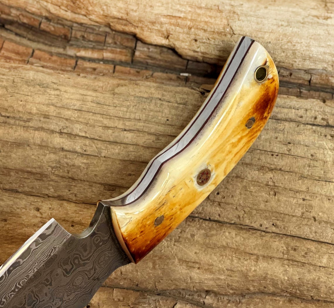 HS-724 Custom Handmade Damascus Steel Skinner Knife - Burnt Camel Bone Handle