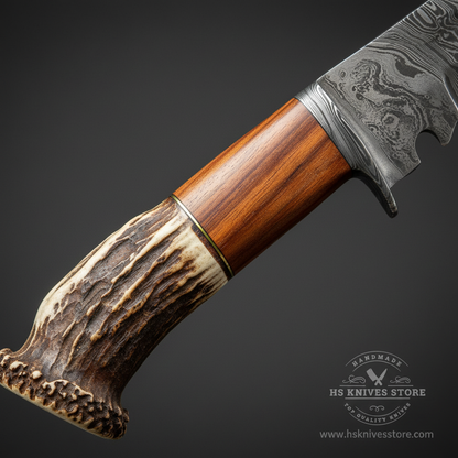 Close-up macro of stag crown antler lower handle and rosewood upper handle with Damascus bolster on Bowie knife