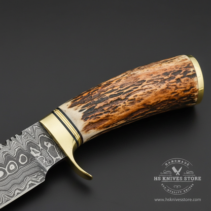 Close-up macro of natural stag antler handle with warm brown texture and dark crown base and brass collar bolster with black spacer ring