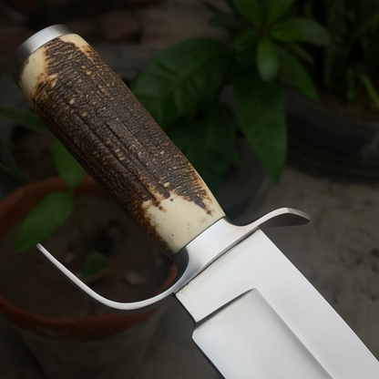 Natural antler handle close-up D2 Bowie knife silver guard detail