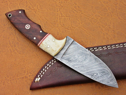 HS-776 Custom Handmade Damascus Skinner Knife With Camel Bone & Wood Handle