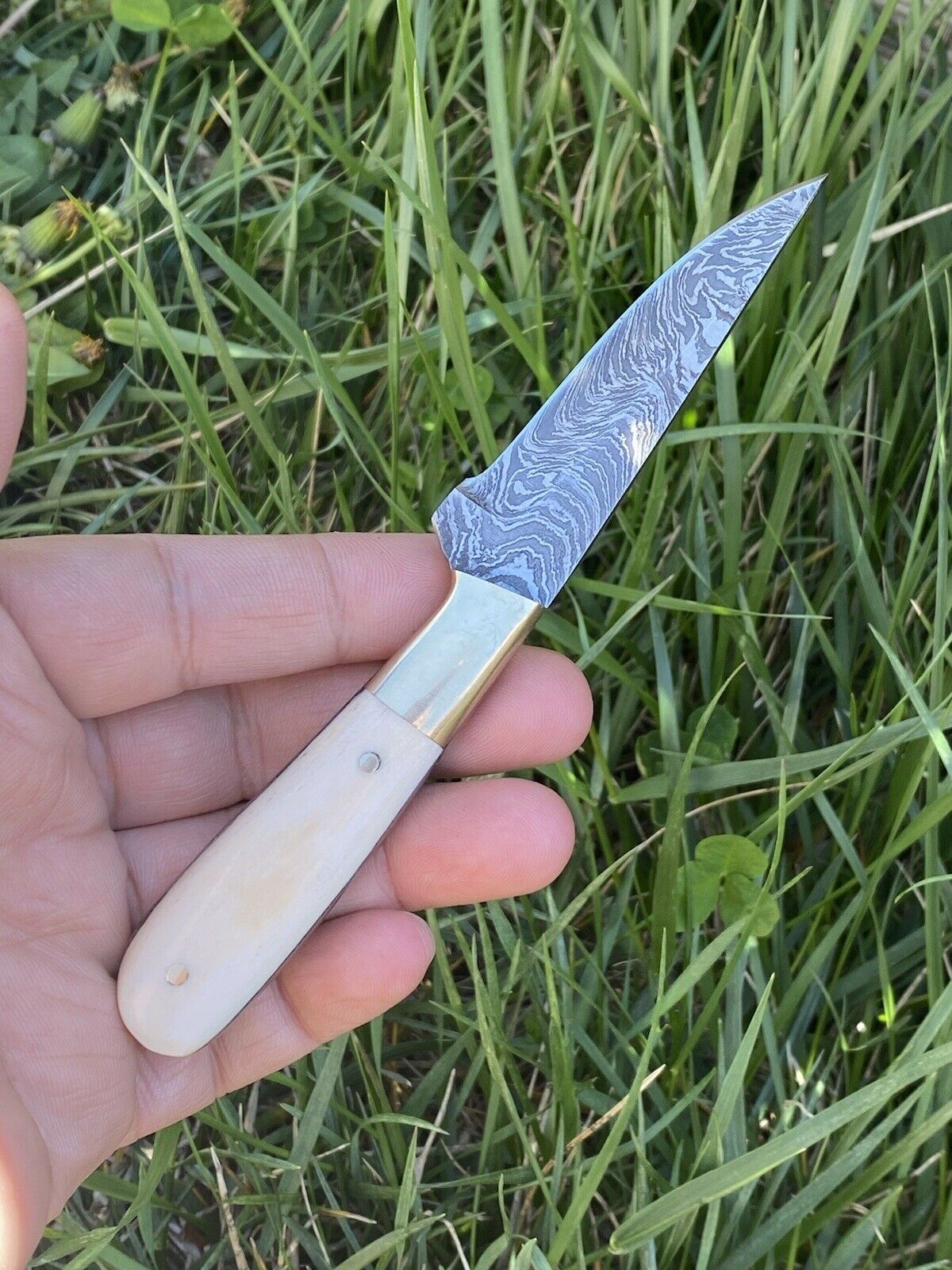 HS-725 Custom Handmade Damascus Steel Skinner Knife - Camel Bone Handle