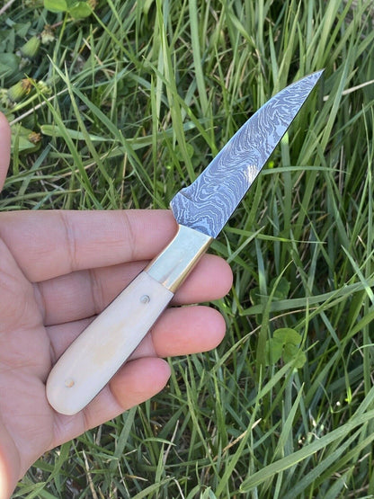 HS-725 Custom Handmade Damascus Steel Skinner Knife - Camel Bone Handle