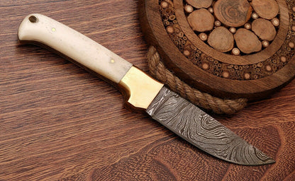 HS-760 Custom Handmade Damascus Skinner Knife + Brass Bolster And Camel Bone Handle