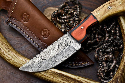 HS-688 Custom Handmade Damascus Steel Skinner Knife - Beautiful Wood Handle