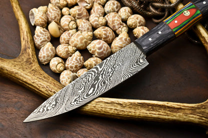 HS-281 Cutlery | Hand Made Damascus Steel Blade Chef Kitchen Full Tang Knife | Hard Wood