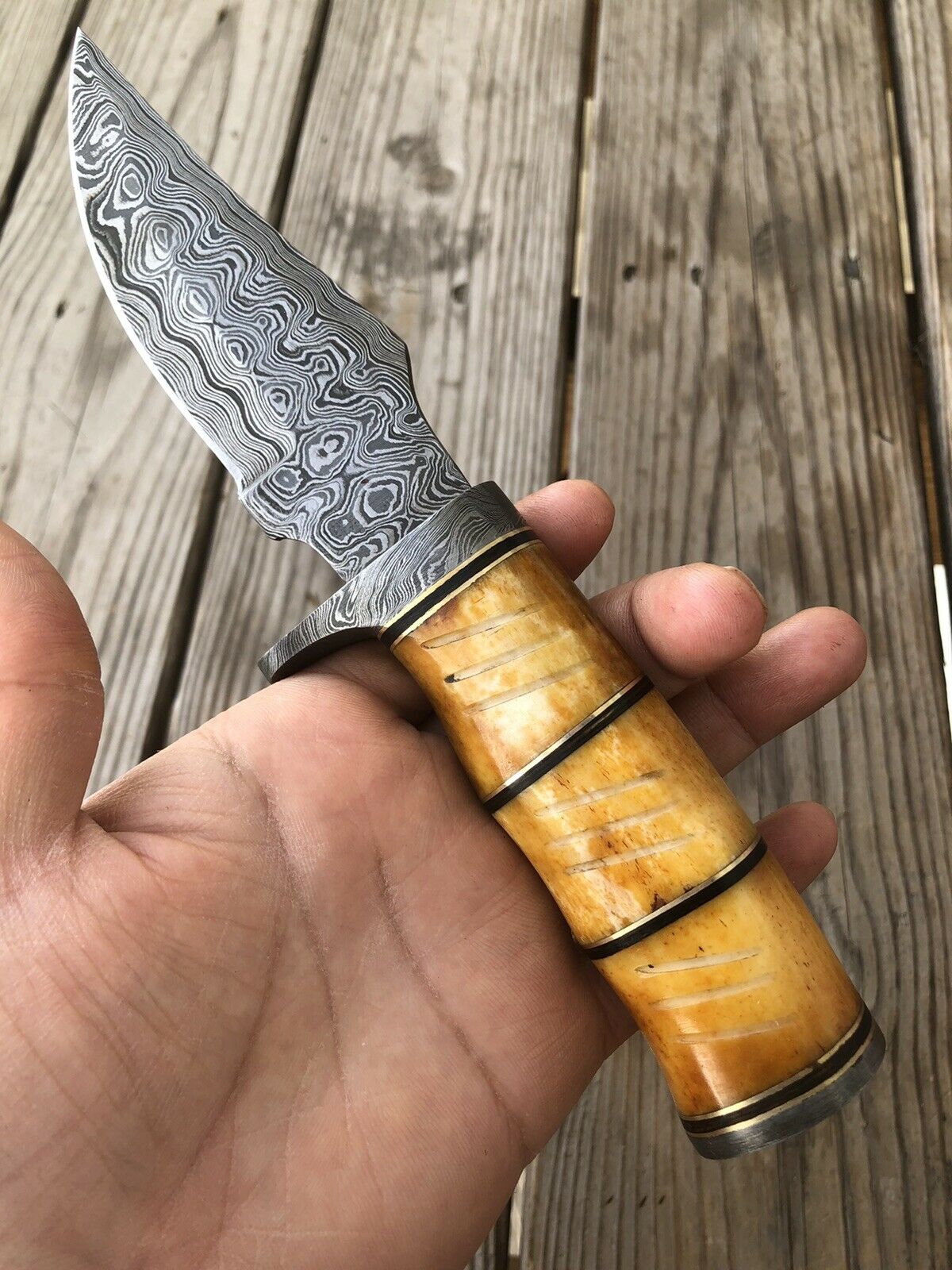 HS-461 Custom Handmade High Carbon Damascus Steel Hunting Camping Best Knife - Awesome Colour Camel Bone Handle