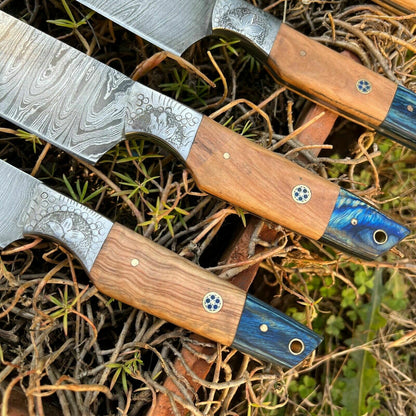 HS-127 '' Hand Forged Damascus Steel Hunting Chef Kitchen Knife Set W/ Sheath