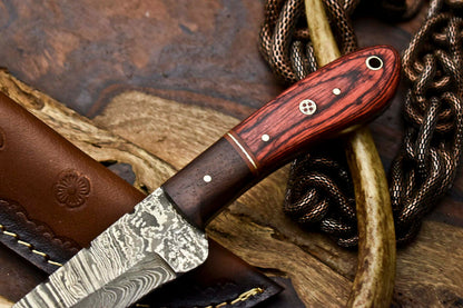 HS-681 Custom Handmade Damascus Steel Skinner Knife - Beautiful Wood Handle