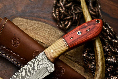 HS-659 Custom Handmade Damascus Steel Skinner Knife - Beautiful Hard Wood Handle