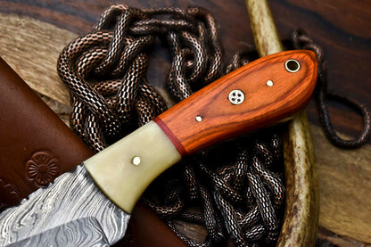 HS-684 Custom Handmade Damascus Steel Skinner Knife - Beautiful Bone Wood Handle