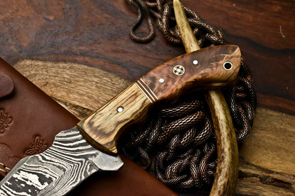 HS-922 | Custom Handmade Damascus Steel Tracker Knife - Beautiful Wood Handle