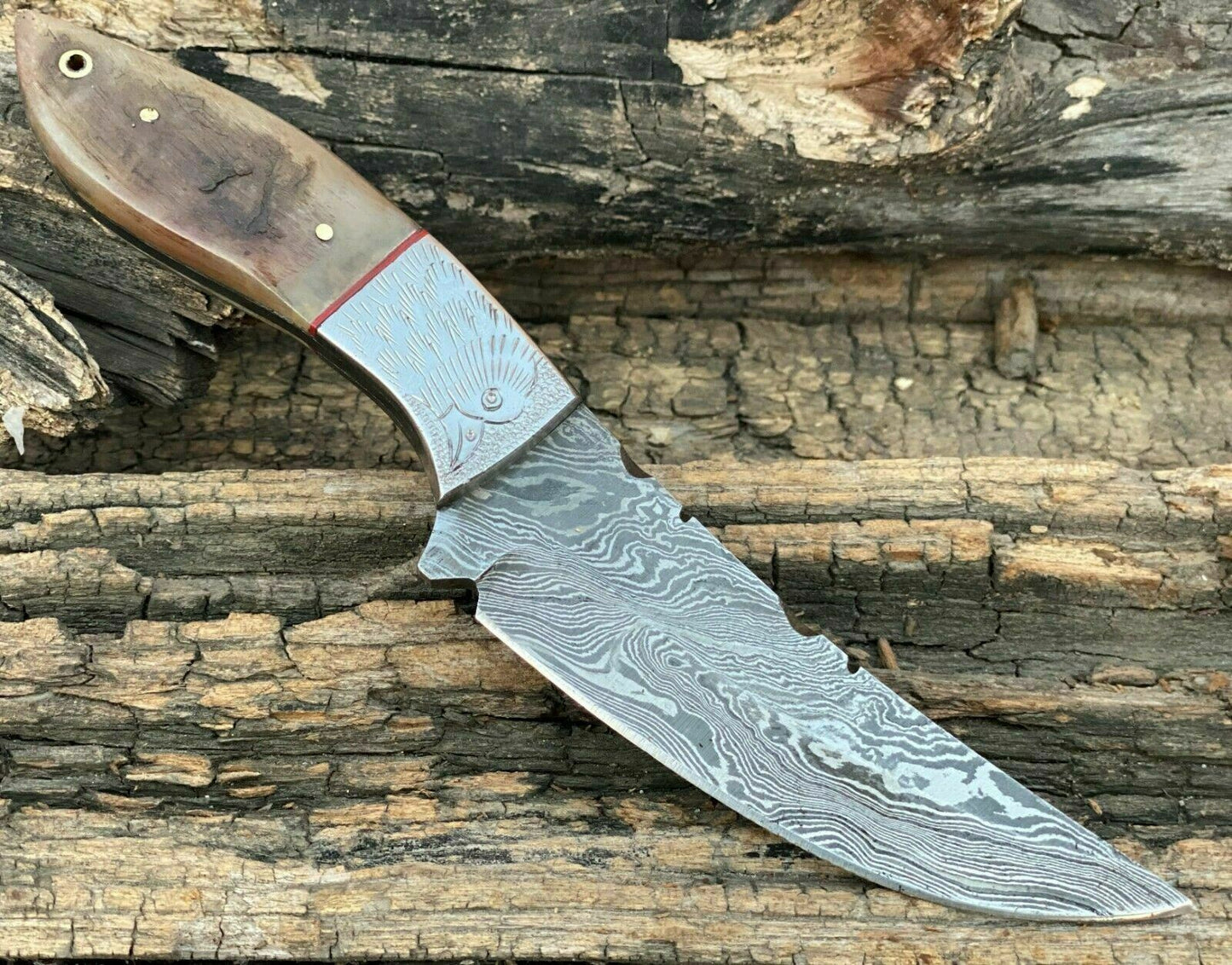 HS-771 Handmade Damascus Steel Hunting Engraved Eagle Skinner Knife "Ram Horn Handle"11